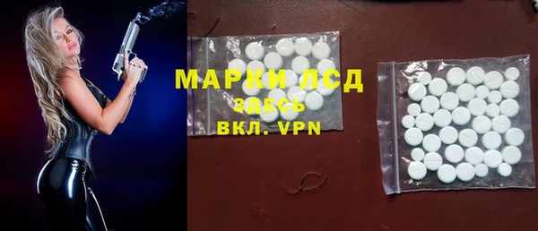 хмурый Алзамай