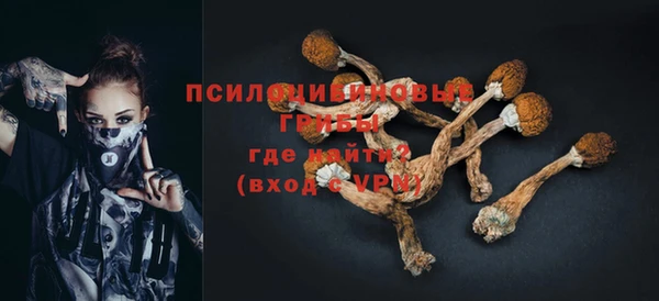 хмурый Алзамай